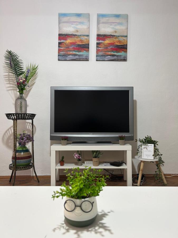 Nf'S Home Lovely Apartment In Heart Of Σαράγεβο Εξωτερικό φωτογραφία