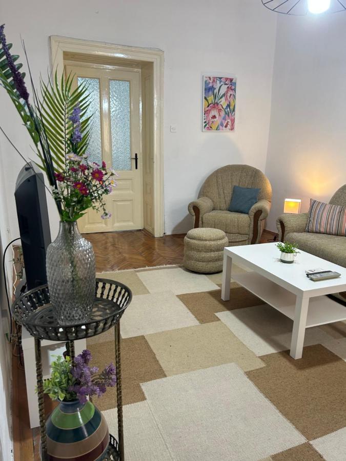 Nf'S Home Lovely Apartment In Heart Of Σαράγεβο Εξωτερικό φωτογραφία